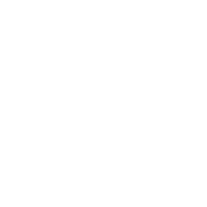 Domaine de la Paleine, Vins de Saumur